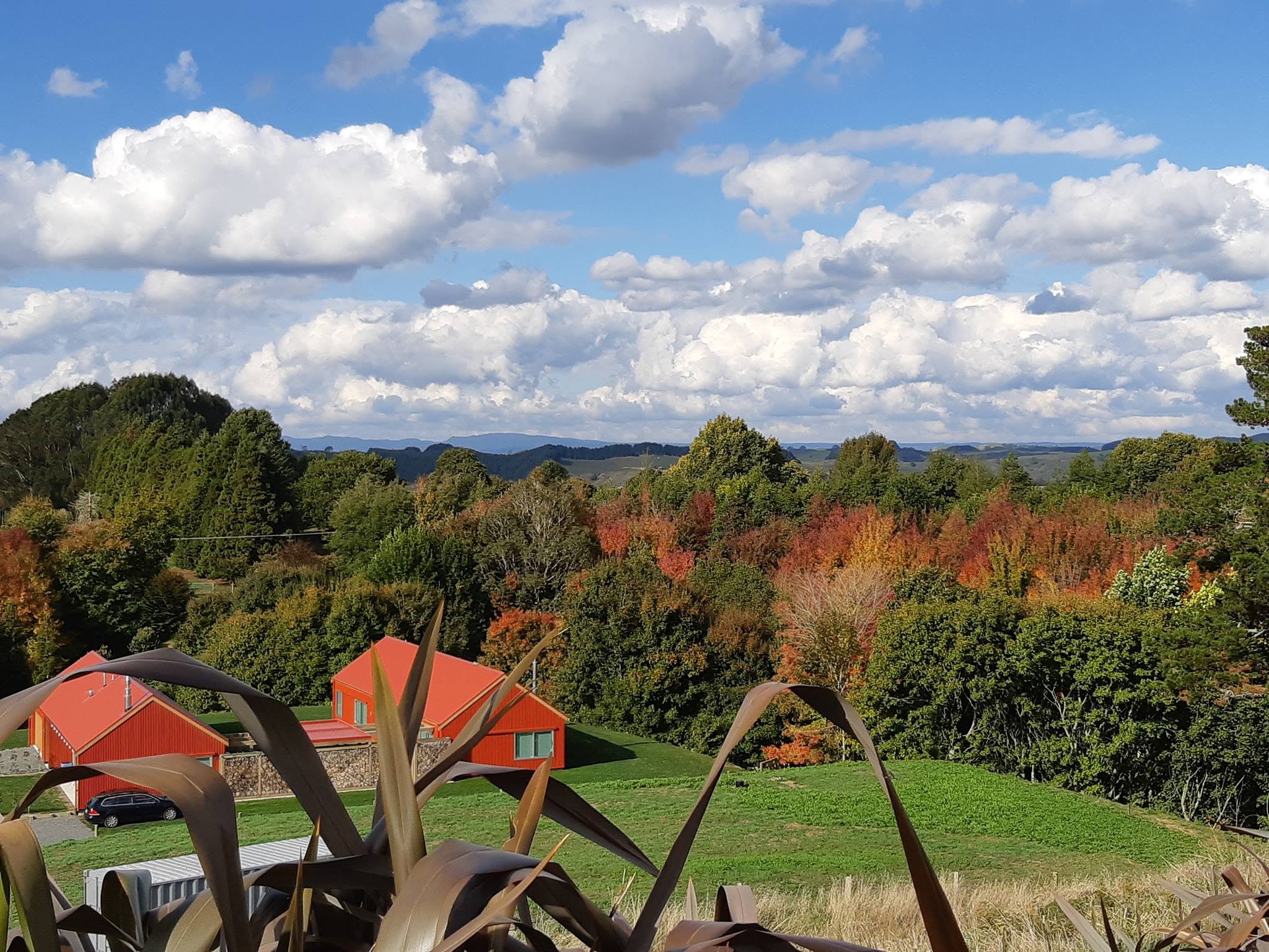 View over red roofs to autumn trees and distant hills